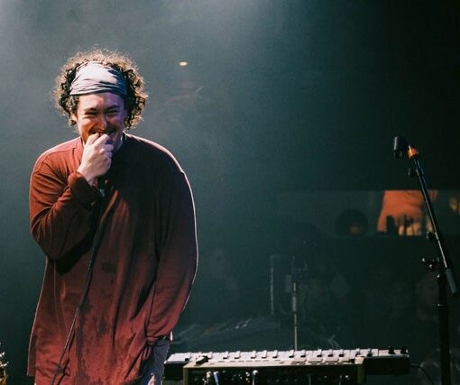 HOBO JOHNSON THE LOVEMAKERS